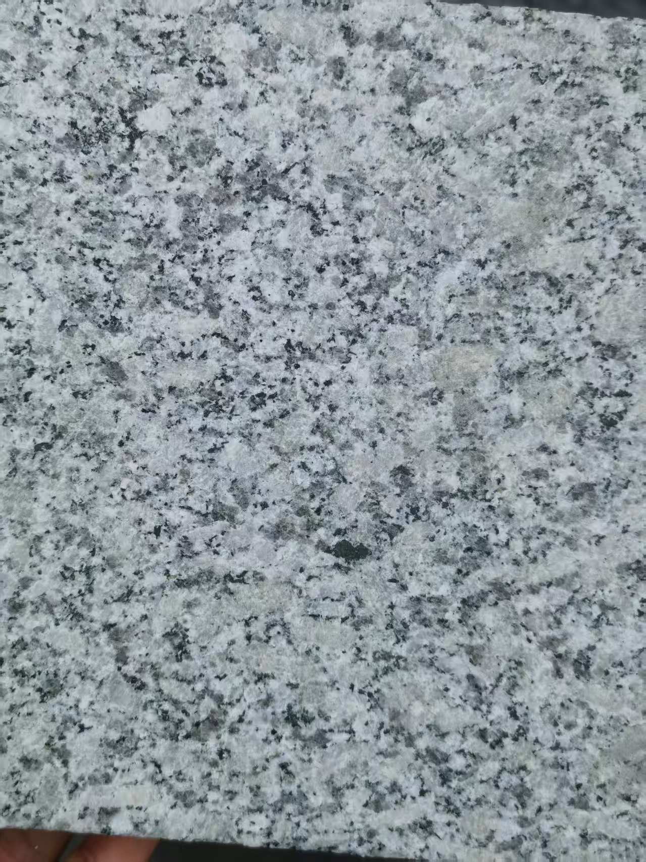 大庆 芙蓉白火烧面