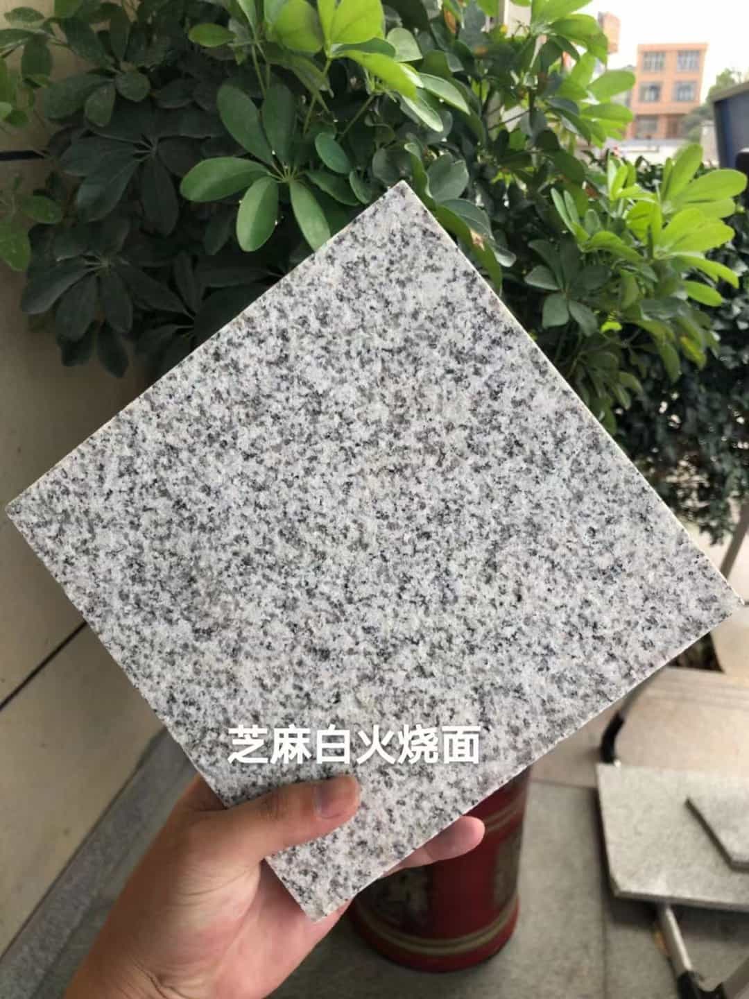 大庆芝麻白火烧面地铺