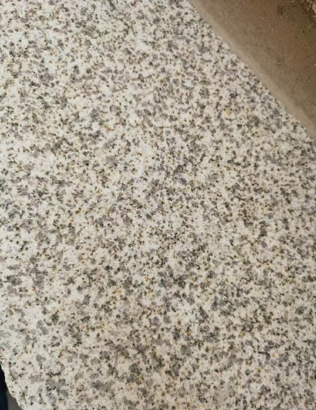 大庆 黄金麻中黄光面